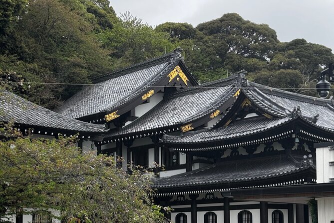 One Day Fully Customize the Tour for Kamakura and Yokohama - Pricing and Reservation