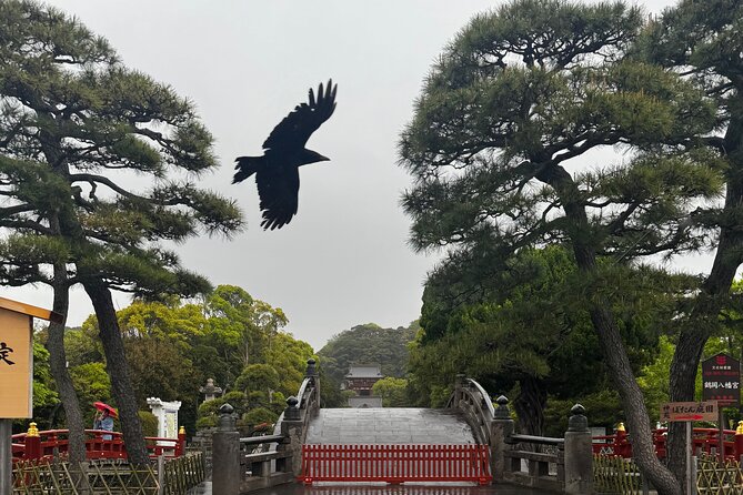 One Day Fully Customize the Tour for Kamakura and Yokohama - The Sum Up