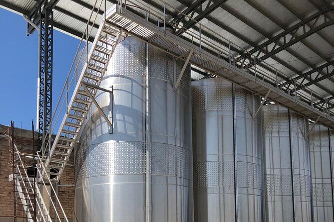 One Day Grapes on the Edge. Uco Valley Wine Tour - Additional Information