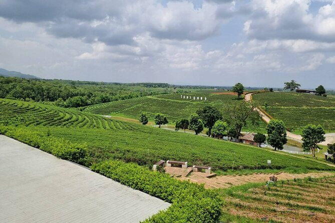 One Day Group Tour Experience in Chiangrai - Who Should Book This Tour?