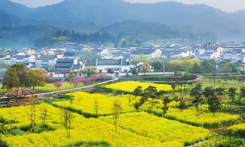 One-day group tour to Huangshan Hongcun and Xidi Ancient Village - Two Villages, Two Different Moods