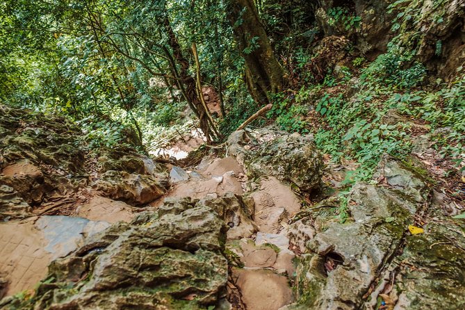 One Day Guided Tour: Kayaking, Zipline & Tubing in the Cave From Vang Vieng - Itinerary
