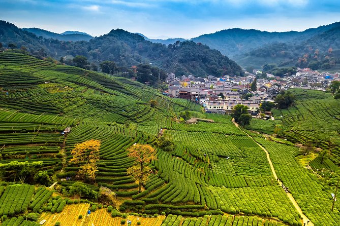 One-Day Hangzhou Dragon Well Tea Culture & West Lake Private Tour - Tour Highlights