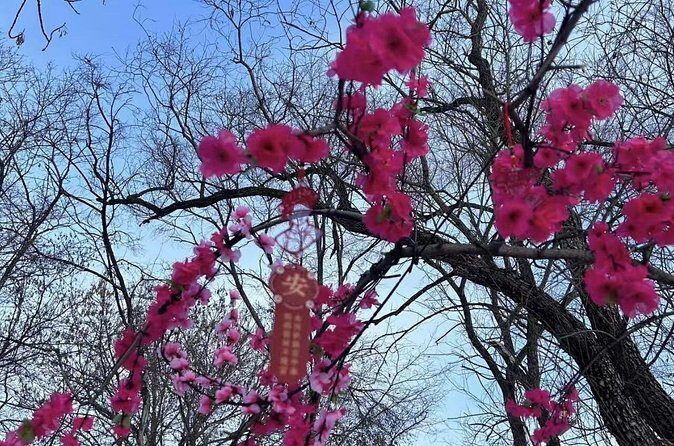 One Day Harbin Winter Expedition Jingpo Lake Sunrise and Fishing - The Sum Up: Who Will Love This Tour?