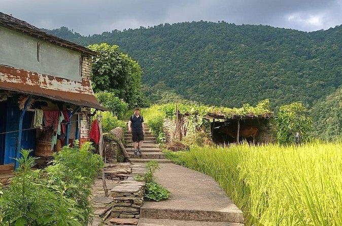 One Day Hike to Australian Camp and Dhampus - Final Thoughts: Is This Tour Right for You?