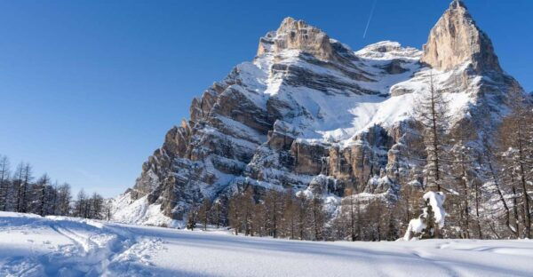 One Day Hike With Snowshoes to Discover Dolomites - Booking Details