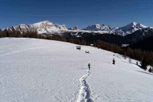 One Day Hike With Snowshoes to Discover Dolomites - Breathtaking Views and Wildlife