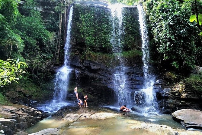 One Day Hiking and Elephant Experience by Chiang Mai Elephant Home - Meeting and Pickup