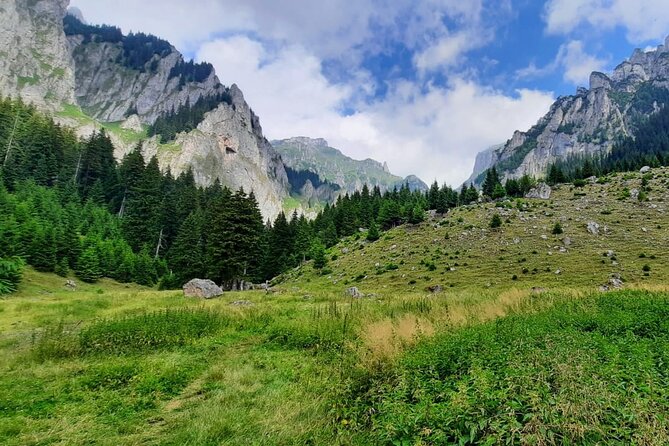 One Day Hiking in Bucegi Natural Park-Private Day Tour From Brasov - Tour Overview