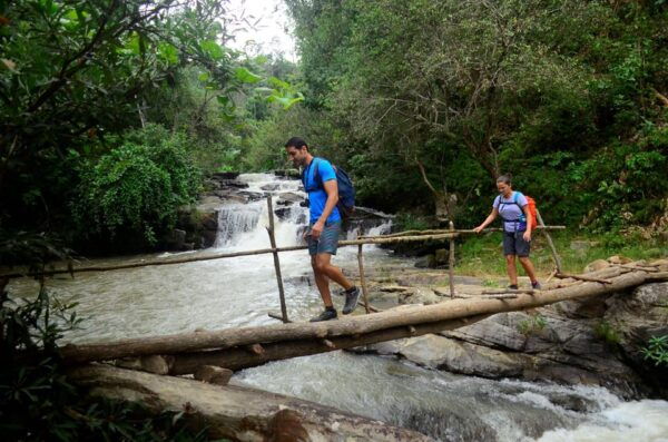 One Day Hiking Tour in Chaing Mai - Booking Process