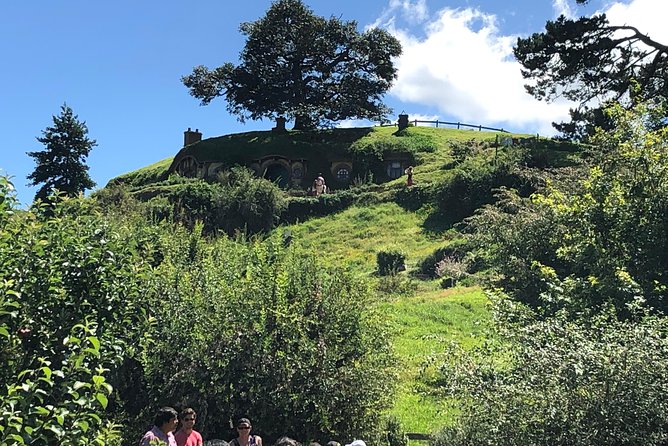 One Day Hobbiton Movie Set Visit From Auckland - Exploring Hobbiton: Behind the Scenes