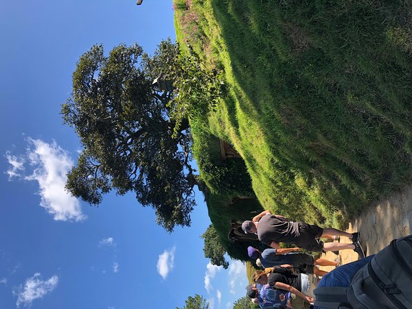 One Day Hobbiton Movie Set Visit From Auckland - Hobbiton Movie Set Tours: What to Expect
