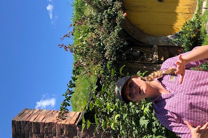 One Day Hobbiton Movie Set Visit From Auckland - Hobbiton Movie Set Guide: Tips and Tricks