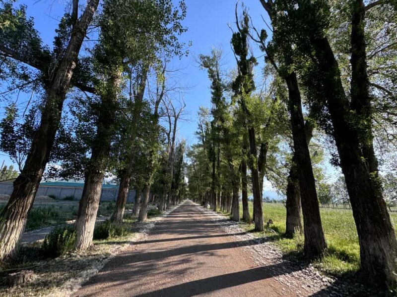 ( One-Day ) Immense Issyk Kul Lake & Historical Burana Tower - The Sum Up
