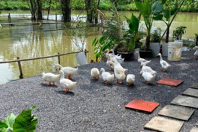 One Day in Ninh Binh Explore Scenic Highlights by Motorbike - FAQ