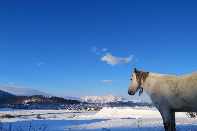 One Day in the Mountains: Bakuriani Ski Resort & Borjomi From Kutaisi - The Sum Up