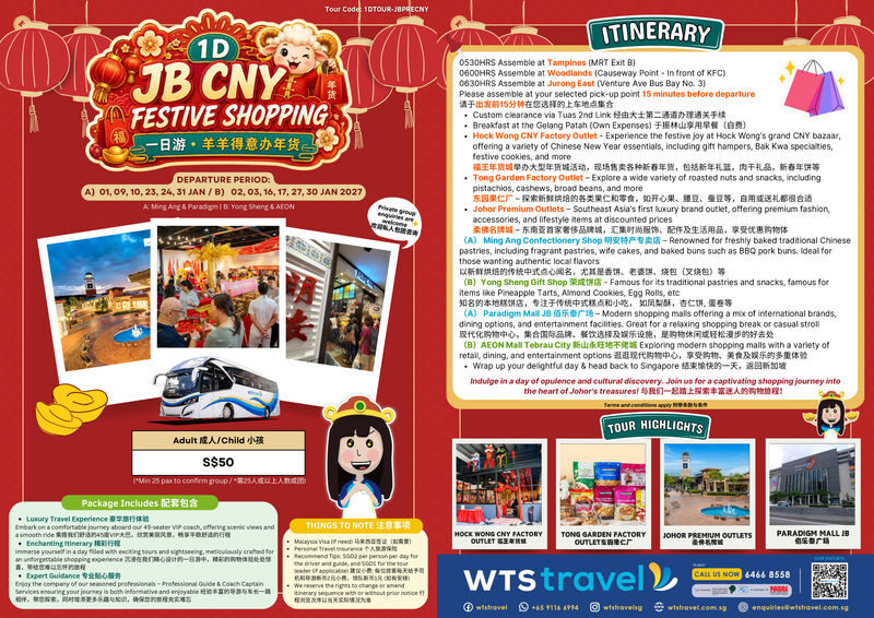 One-Day Johor Bahru Pre-Chinese New Year Shopping - A festive shopping day, with the border crossing handled