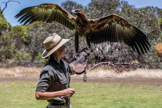 One Day Kangaroo Island Sip & See Tour With Return Ferry Transfers From Adelaide - Traveler Photos and Reviews