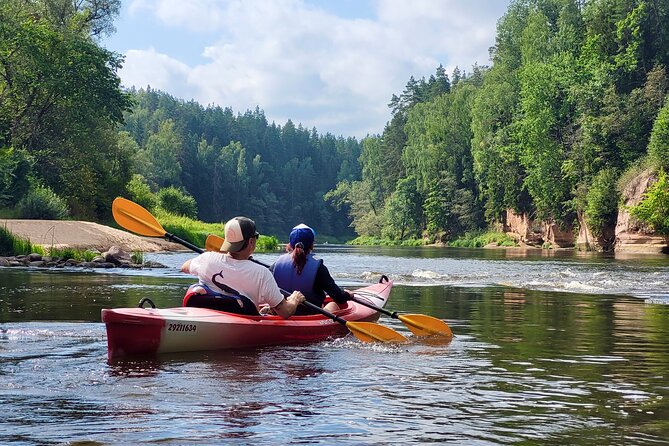 One-Day Kayaking Trip in Gauja River Valley - Trip Overview