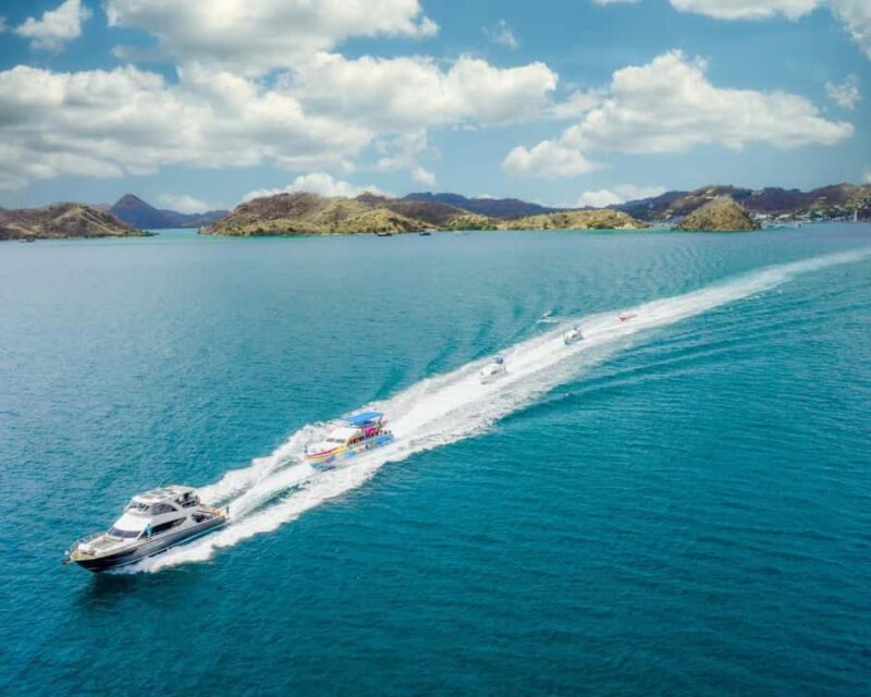 One-Day Komodo Tour By Speedboat - Frequently Asked Questions