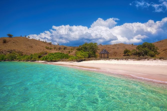 One Day Komodo Trip (Sailing) - Sailing Experience