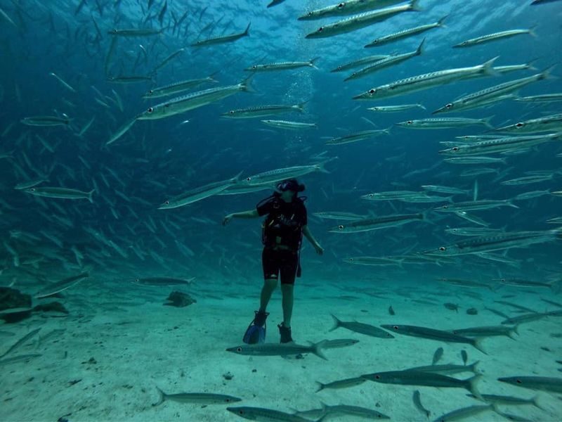 One Day Learning Scuba Diving at Racha Island - No License Required - Snorkeling, Coral Island and the extras