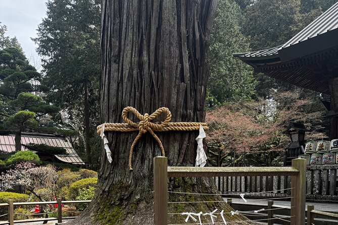 One Day Mountain Fuji & Hakone Tour With English Hindi Bilingual - Tour Inclusions
