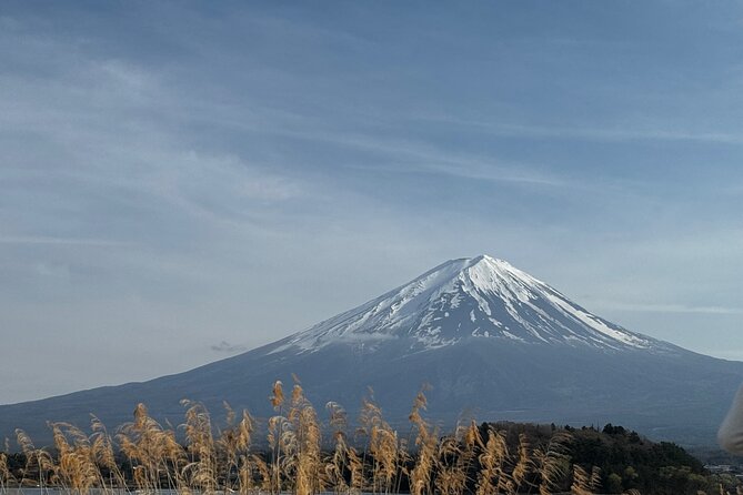 One Day Mountain Fuji & Hakone Tour With English Hindi Bilingual - Pickup Information