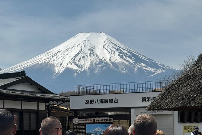 One Day Mountain Fuji & Hakone Tour With English Hindi Bilingual - Accessibility Details
