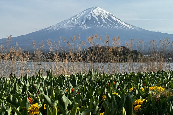 One Day Mountain Fuji & Hakone Tour With English Hindi Bilingual - Additional Info