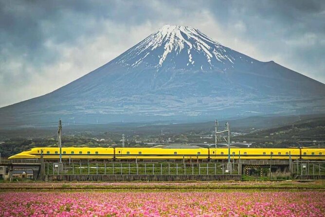 One Day Mountain Fuji & Hakone Tour With English Hindi Bilingual - Price & Booking Details