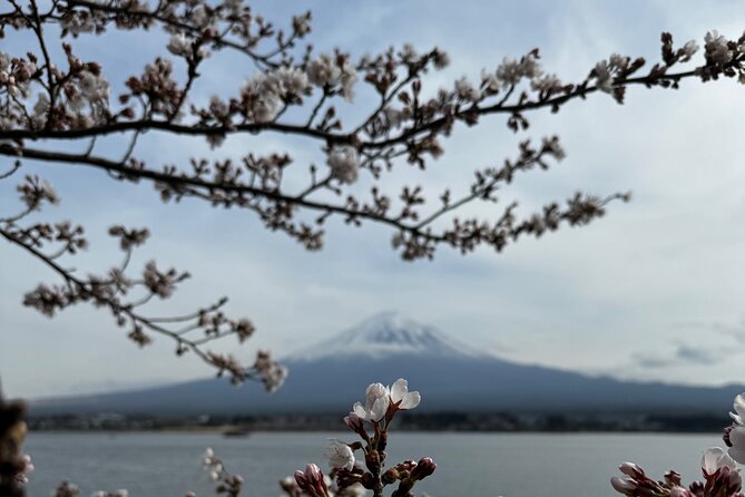One Day Mountain Fuji & Hakone Tour With English Hindi Bilingual - Review Sources