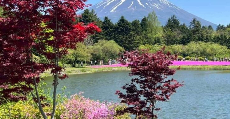 One Day Mt Fuji Private Tour With English Speaking Driver - Good To Know