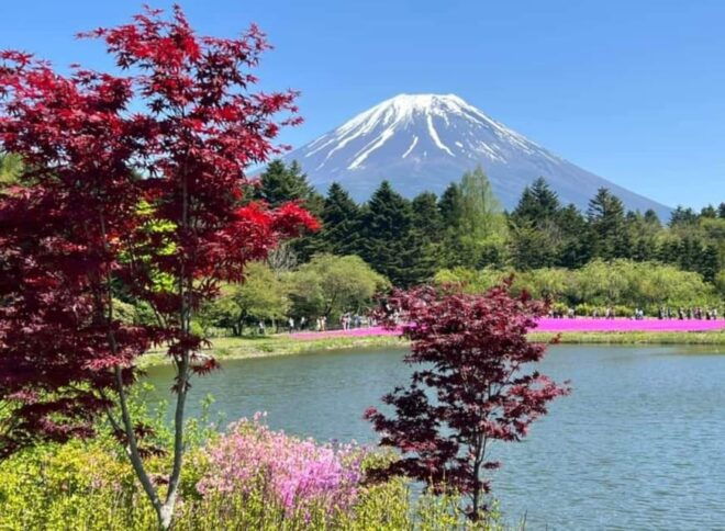One Day Mt Fuji Private Tour With English Speaking Driver - Booking Details