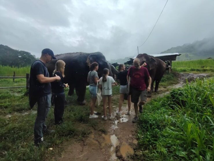 One Day Non Tourist Trek - Trek Experience