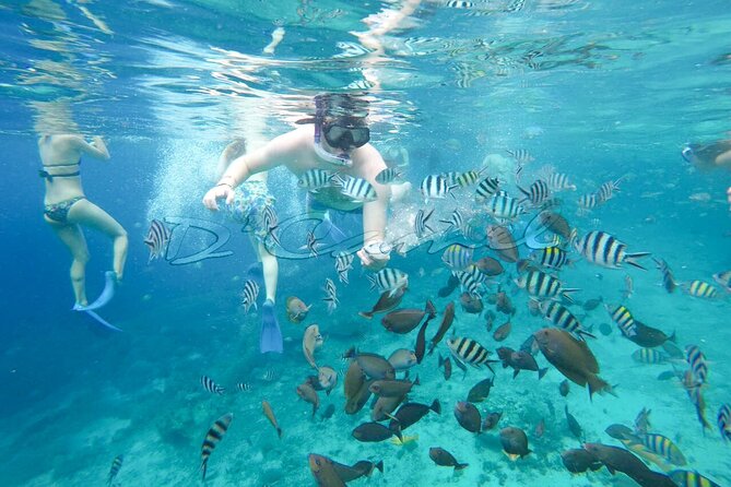 One Day Nusa Penida Island 3 Spots Snorkeling (All-Inclusive) - Snorkeling at Manta Bay