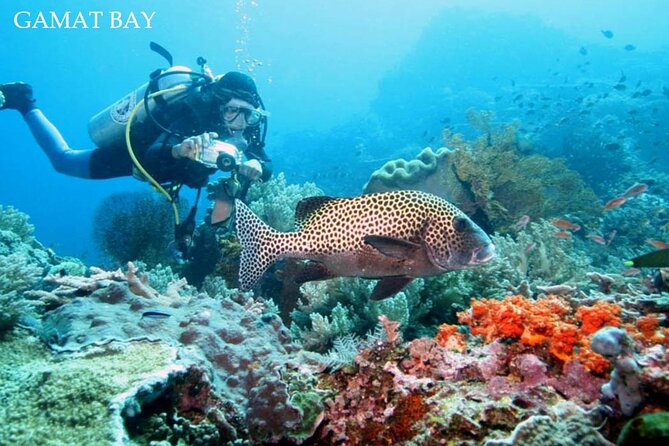 One Day Nusa Penida Island 4 Spots Snorkeling (All-Inclusive) - Snorkeling Spots Highlights
