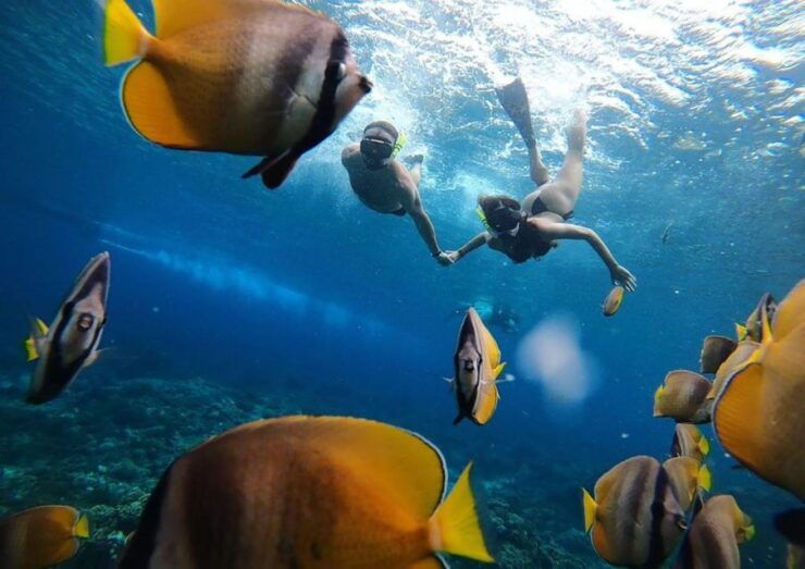 One Day Nusa Penida Island West With Snorkeling - Good To Know