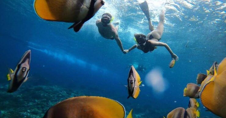 One Day Nusa Penida Island West With Snorkeling - Snorkeling Itinerary Details
