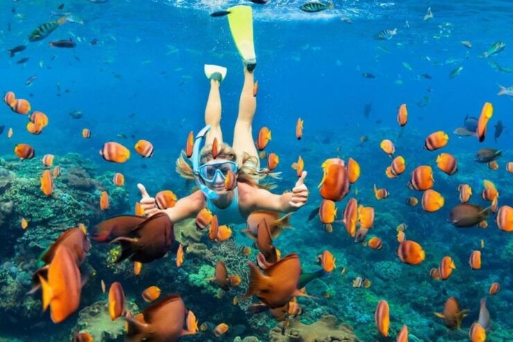 One Day Nusa Penida Snorkeling and Island Tour Combination - Activity Details