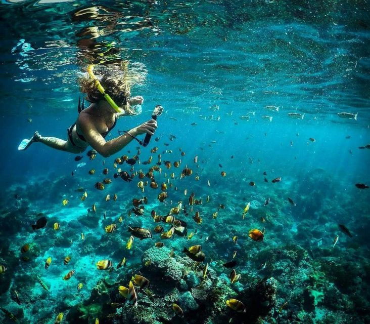 One Day Nusa Penida Snorkeling and Island Tour Combination - Experience