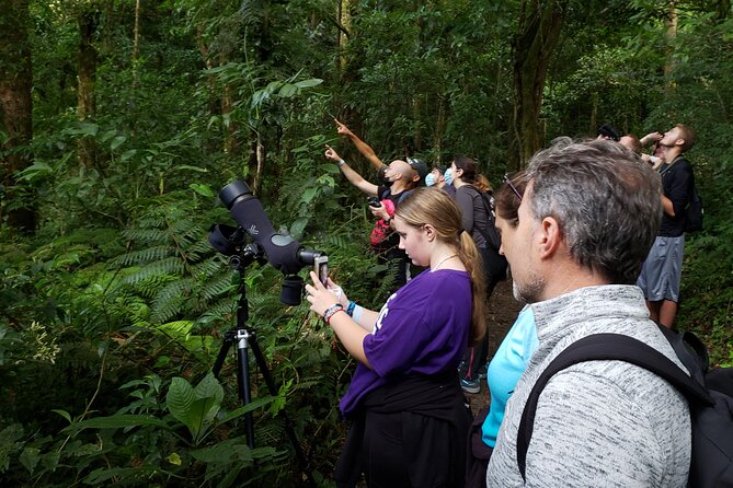 One Day Of Nature in Monteverde - Monteverdes Natural Beauty