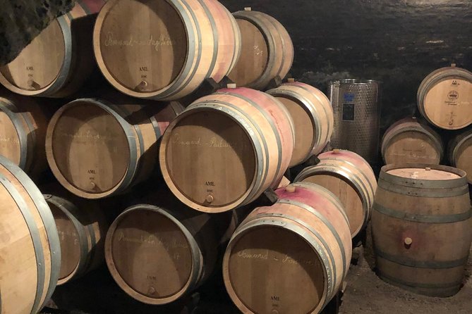 One Day of Shopping of the Best Wines in Burgundy (Day-Trip From Paris) - Overview of Burgundy Wine Shopping Trip