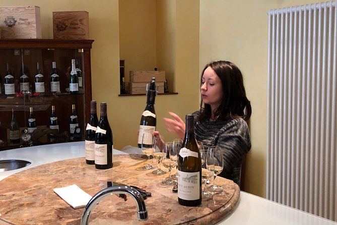 One Day of Shopping of the Best Wines in Burgundy (Day-Trip From Paris) - Travel Arrangements and Logistics
