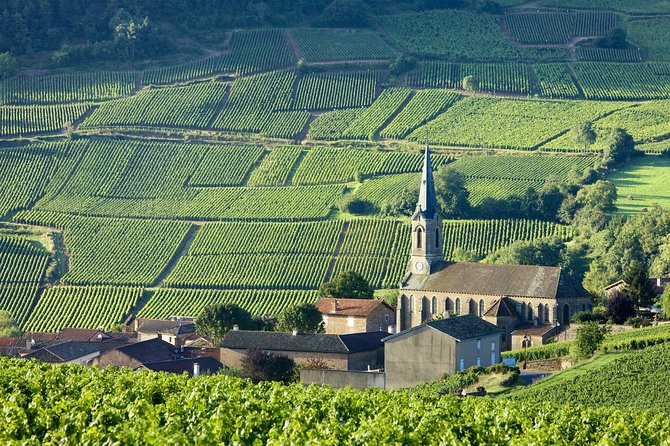 One Day of Shopping of the Best Wines in Burgundy (Day-Trip From Paris) - Wine Tasting in Meursault, Volnay, and Beaune
