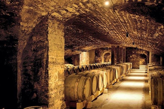 One Day of Shopping of the Best Wines in Burgundy (Day-Trip From Paris) - Cancellation Policy for the Trip