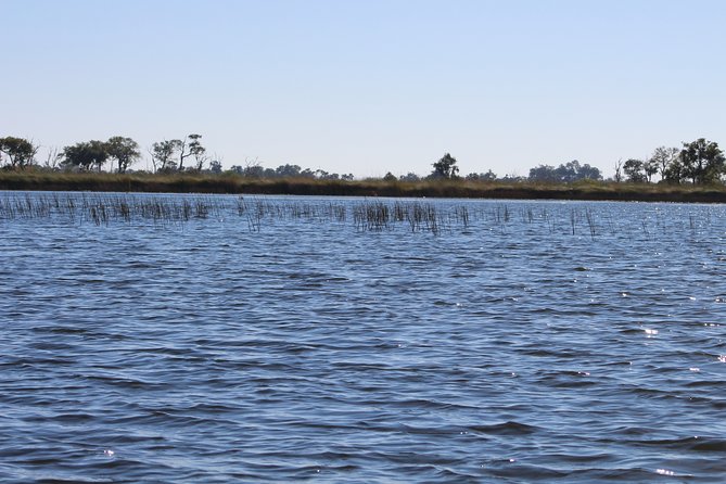 One Day Okavango Delta Boat Safari - Pricing Details and Guarantee