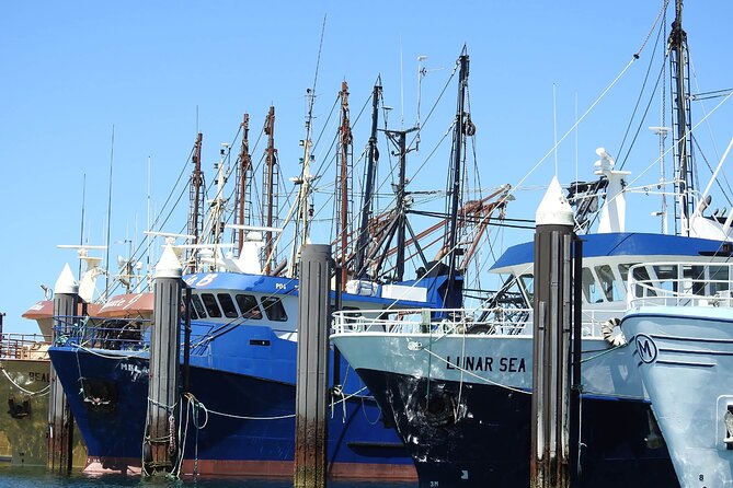 One Day Port Lincoln Tour - Tasting Eyre - Must-Visit: Whalers Way Coastal Drive