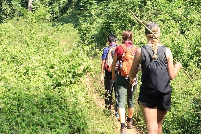 One Day Premier Trek Jungle & Waterfall - Discover Hidden Waterfalls and Natural Pools