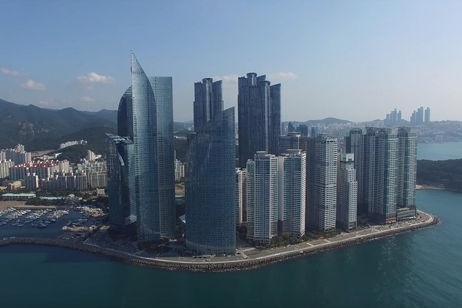 One Day Private Busan Tour With Local Tour Guide - Tour Highlights